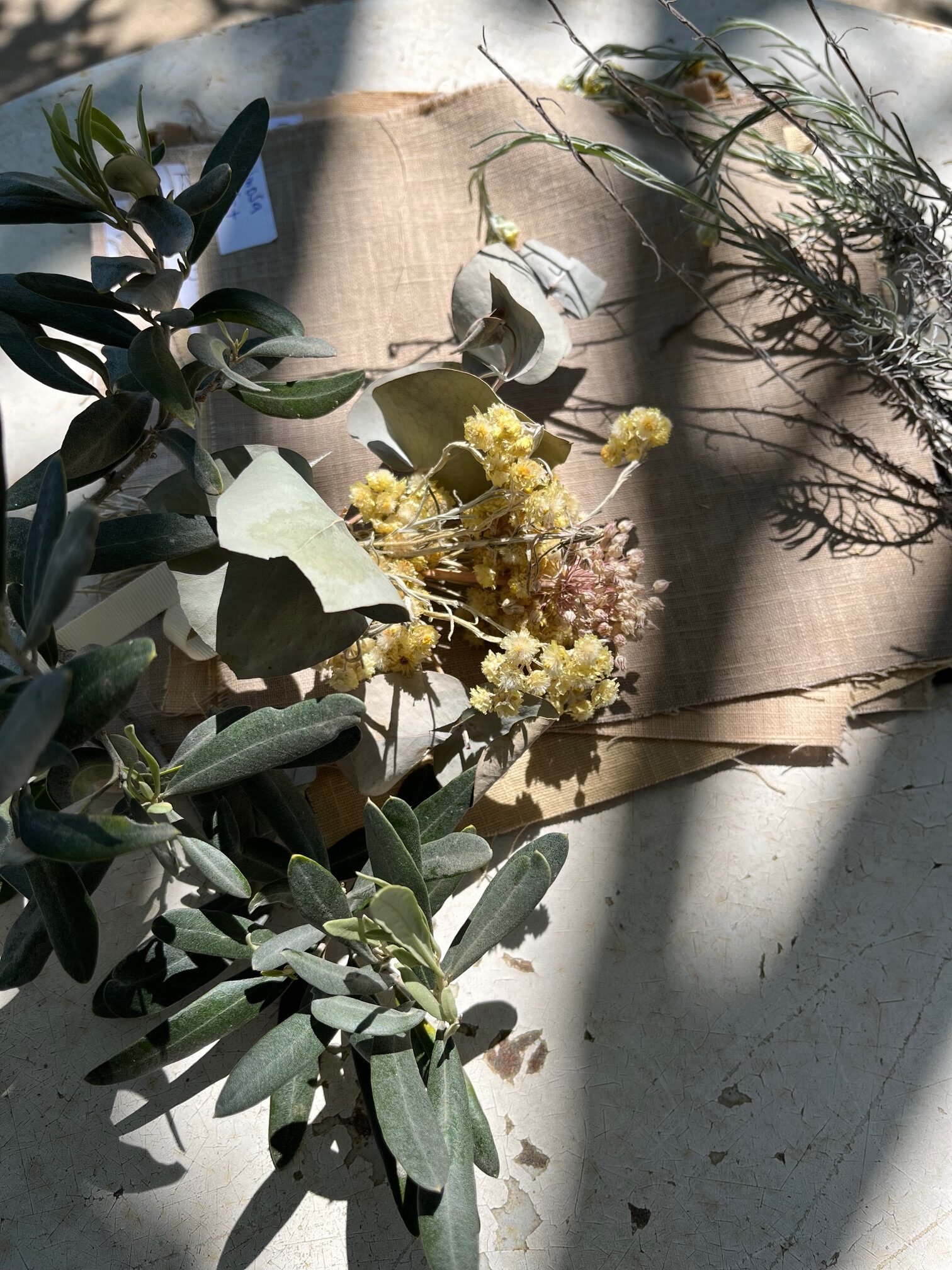 Préparation à l'extraction et la teinture naturelle